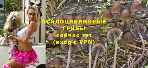 а пвп мука Гусев