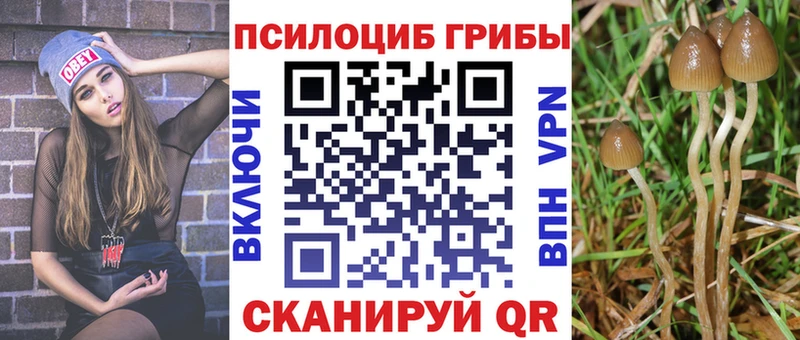 Псилоцибиновые грибы Psilocybine cubensis  Уфа 